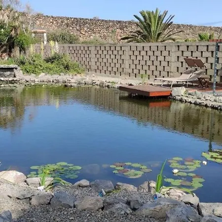 Апартаменты Herrlicher-atlantik-blick-finca-la-punta-mit-garten-und-terrasse Икод-де-лос-Винос